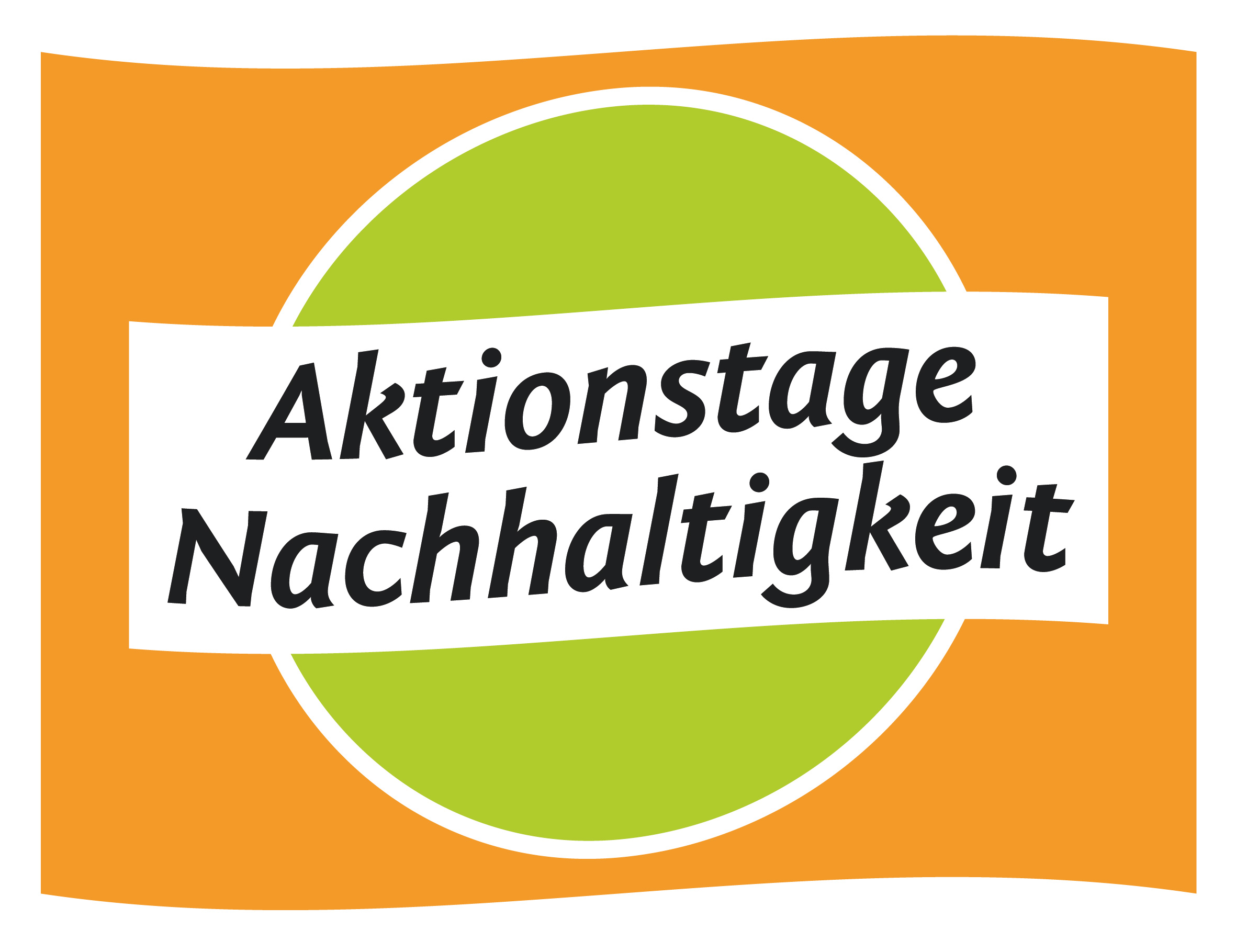 NHOE Logo Flagge Juli 2013